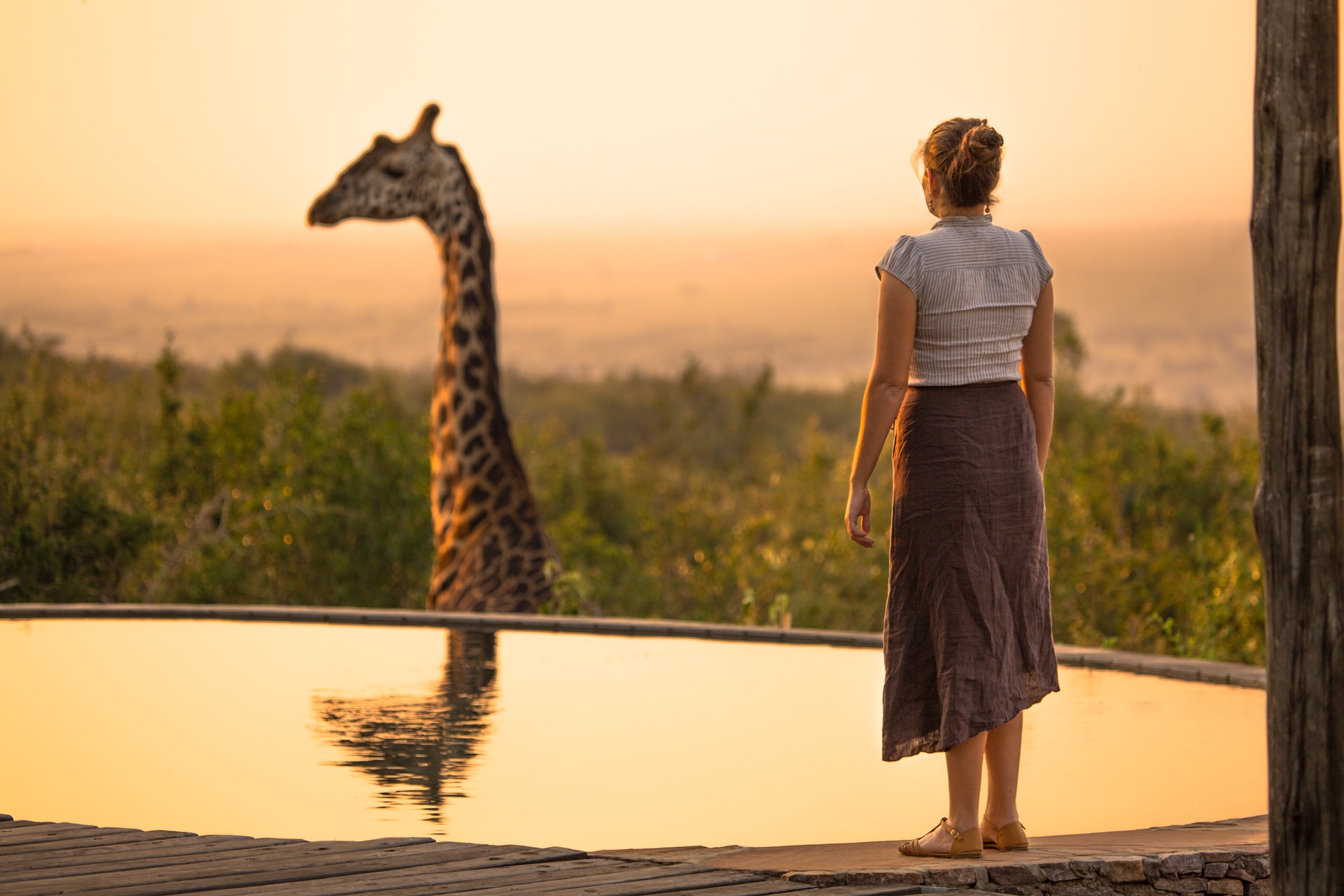 Travel Agent for Safari in Kenya