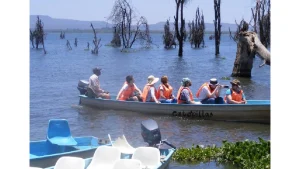 Cheapest Safari in Kenya 2024