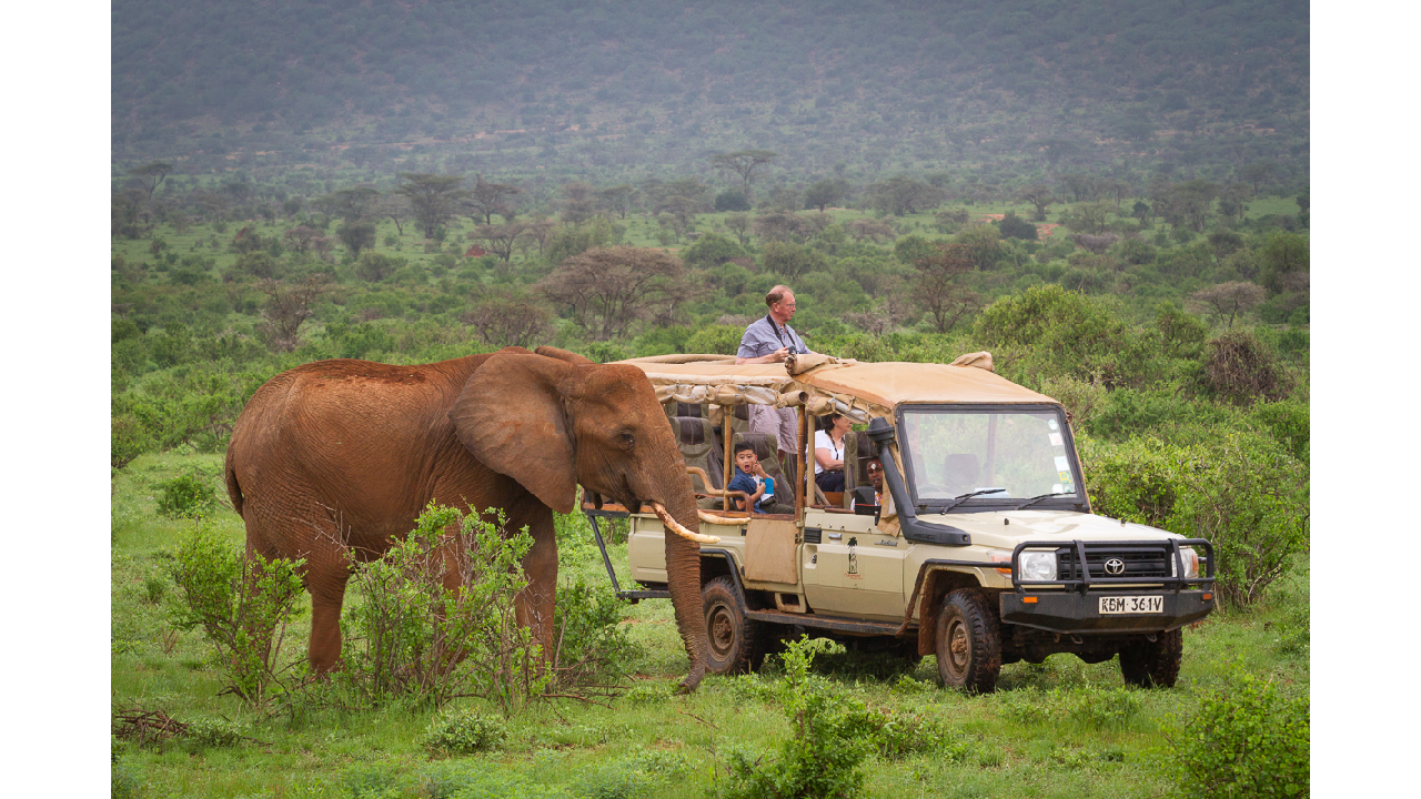 How to Book a Safari in Kenya