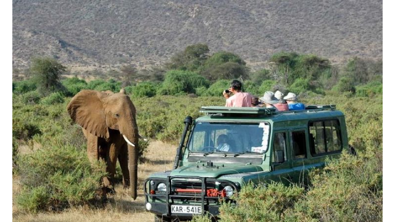 Travel Agent for Safari in Kenya