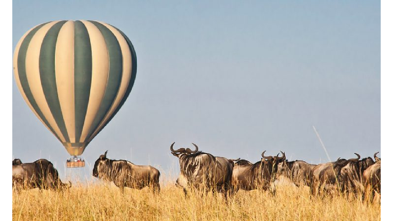 Hot-air Balloon Safari,Maasai Mara Kenya